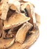 Portabella Mushroom - Magic Mushrooms For Sale